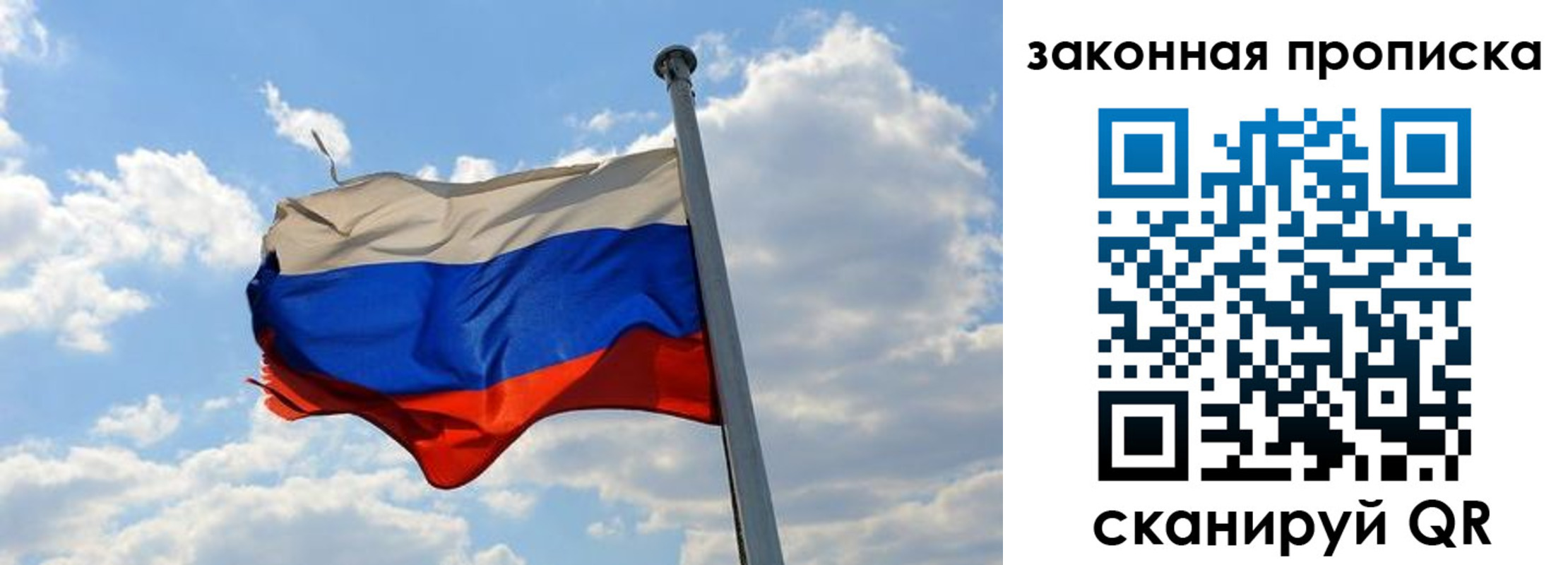 купить прописку в Звенигово